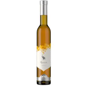 Elephant Island Apricot