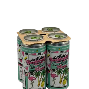 Alley Kat Brewing Backtrack Tropical Gose 4 Pack Cans