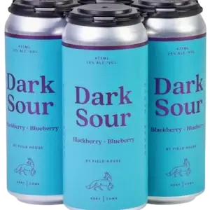 Field House Brewing Dark Sour Blackberry & Blueberry 4 Pack Cans